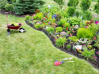 Flowerbed Maintenance and Installation, Marshall, AR