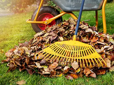 Leaf Removal Services, Marshall, AR