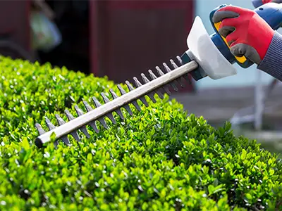 Shrub Trimming Services, Marshall, AR
